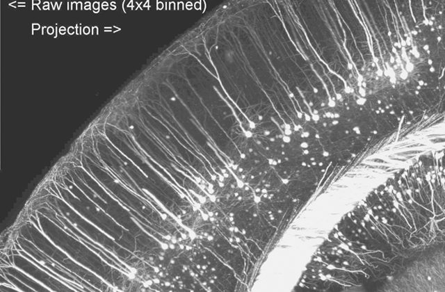 Imaging Figure