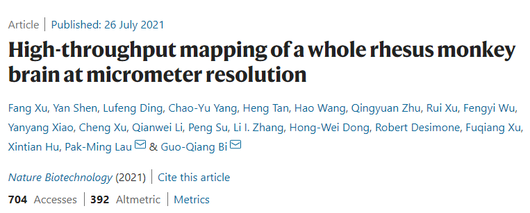 Completed the most precise macaque brain atlas mapping to date in 100 hours! Chinese scientists develop the world's fastest large-scale 3D microscopic imaging technology, accelerating progress toward deciphering the human brain | Interview