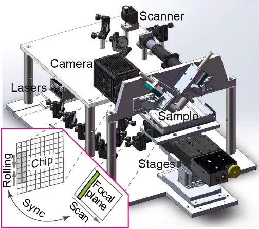 Completed the most precise macaque brain atlas mapping to date in 100 hours! Chinese scientists develop the world's fastest large-scale 3D microscopic imaging technology, accelerating progress toward deciphering the human brain | Interview
