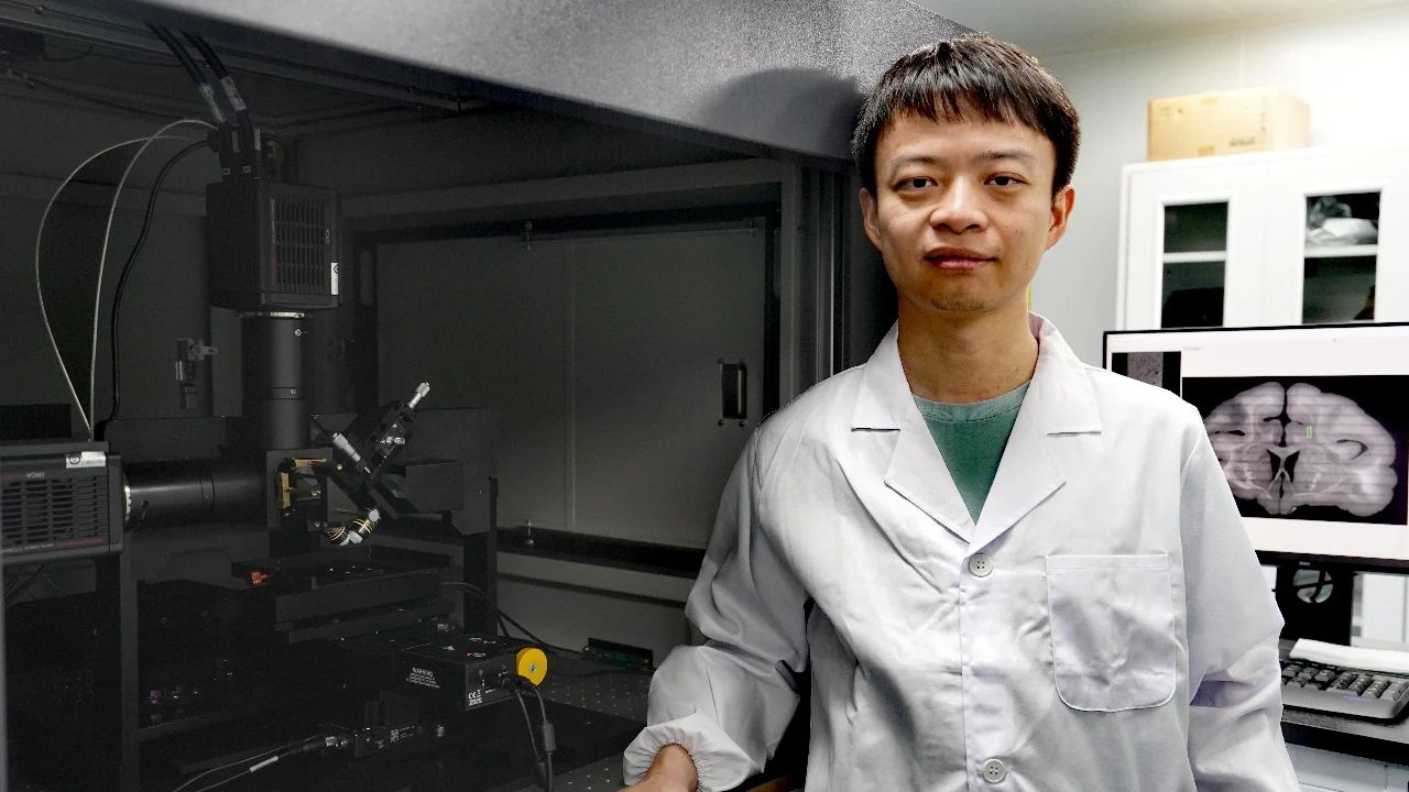 Completed the most precise macaque brain atlas mapping to date in 100 hours! Chinese scientists develop the world's fastest large-scale 3D microscopic imaging technology, accelerating progress toward deciphering the human brain | Interview